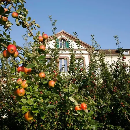 Chambres D'hotes Le Clos Bourdet Oda ve Kahvaltı *
